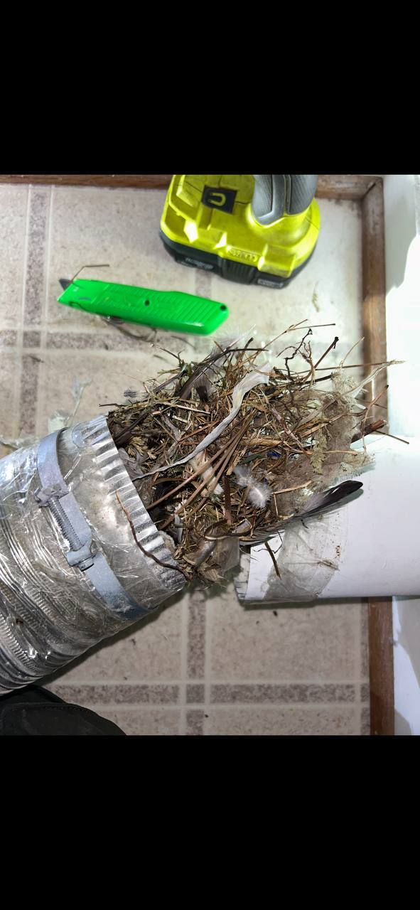 Debris Pulled From Vent